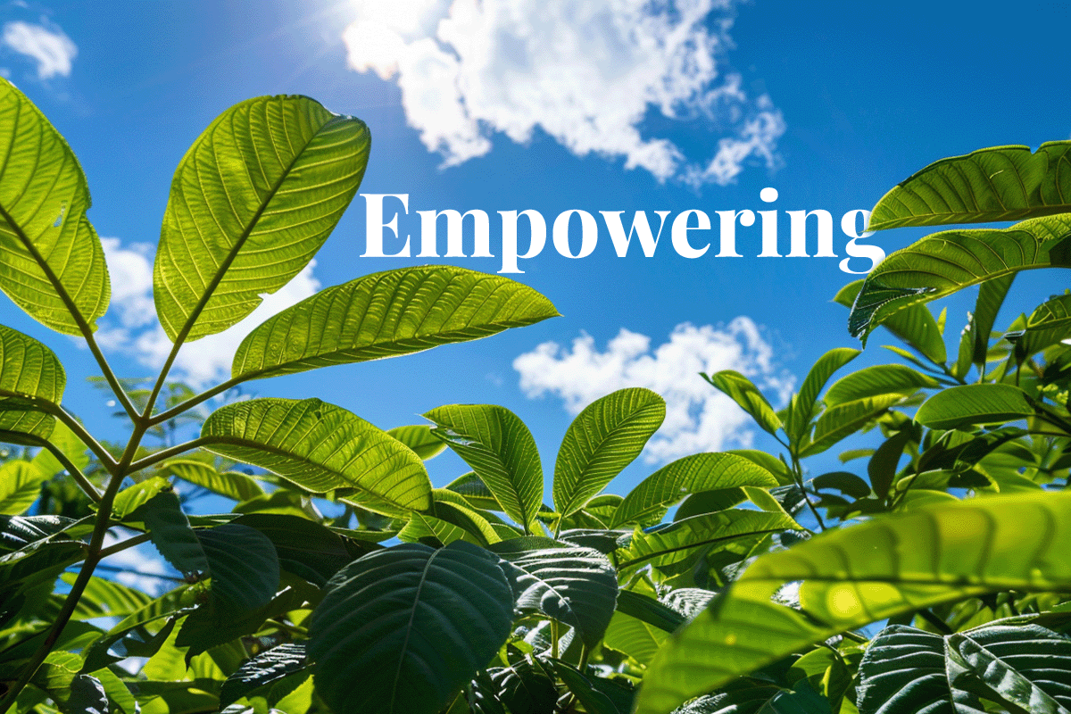 Empowering Green Skies: iFuel AG Finalized First Major Agreement for the Purchase of SAF in the Middle East